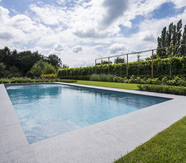 shutterstock_433577728-1-2